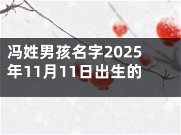 冯姓男孩名字2025年11月11日出生的