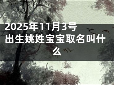 2025年11月3号出生姚姓宝宝取名叫什么