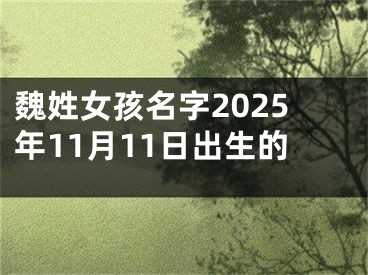 魏姓女孩名字2025年11月11日出生的