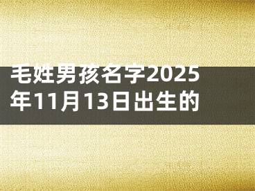 毛姓男孩名字2025年11月13日出生的