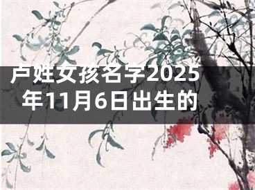 卢姓女孩名字2025年11月6日出生的
