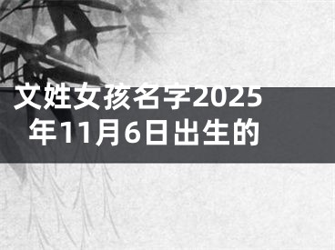 文姓女孩名字2025年11月6日出生的