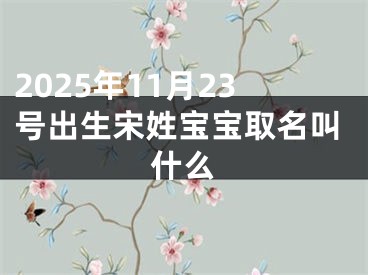 2025年11月23号出生宋姓宝宝取名叫什么