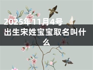 2025年11月4号出生宋姓宝宝取名叫什么
