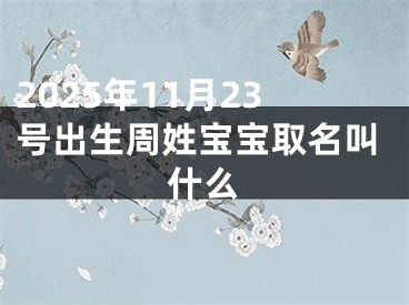 2025年11月23号出生周姓宝宝取名叫什么