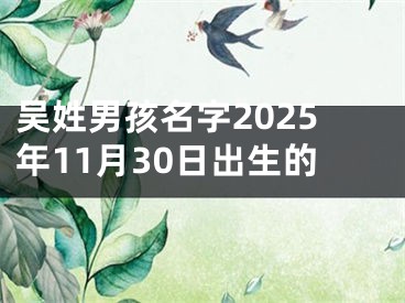 吴姓男孩名字2025年11月30日出生的