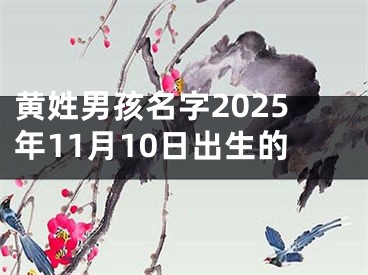 黄姓男孩名字2025年11月10日出生的