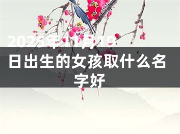 2025年11月19日出生的女孩取什么名字好