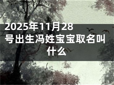 2025年11月28号出生冯姓宝宝取名叫什么
