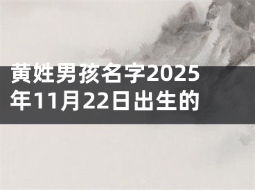 黄姓男孩名字2025年11月22日出生的