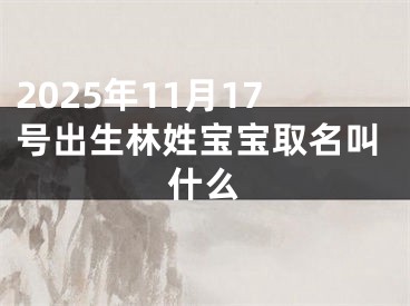 2025年11月17号出生林姓宝宝取名叫什么
