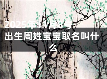 2025年11月8号出生周姓宝宝取名叫什么
