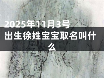 2025年11月3号出生徐姓宝宝取名叫什么