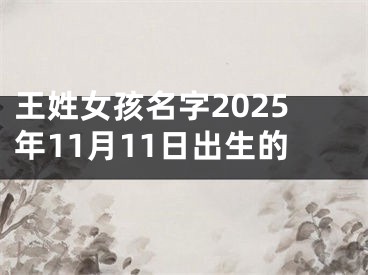 王姓女孩名字2025年11月11日出生的