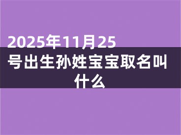 2025年11月25号出生孙姓宝宝取名叫什么