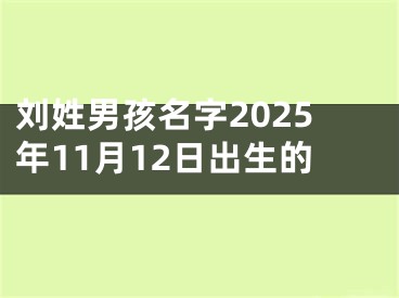 刘姓男孩名字2025年11月12日出生的