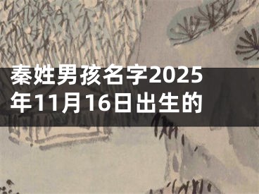 秦姓男孩名字2025年11月16日出生的
