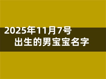 2025年11月7号出生的男宝宝名字
