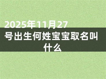 2025年11月27号出生何姓宝宝取名叫什么