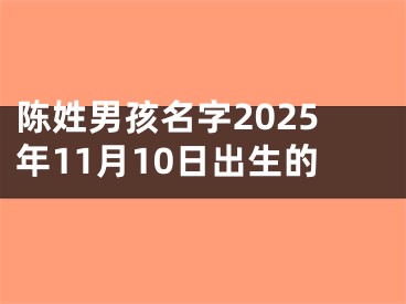 陈姓男孩名字2025年11月10日出生的