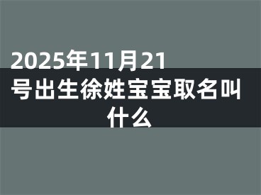 2025年11月21号出生徐姓宝宝取名叫什么