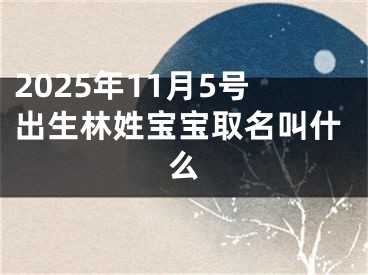 2025年11月5号出生林姓宝宝取名叫什么