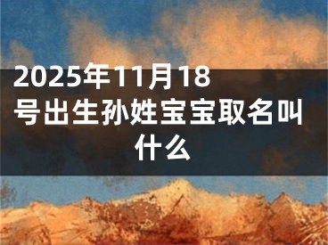 2025年11月18号出生孙姓宝宝取名叫什么