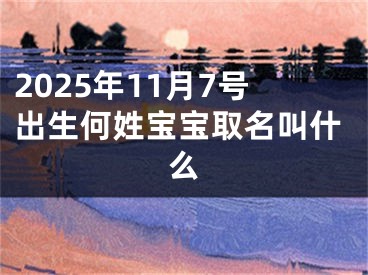 2025年11月7号出生何姓宝宝取名叫什么