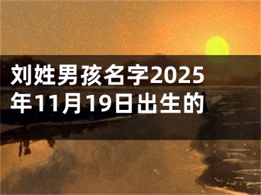 刘姓男孩名字2025年11月19日出生的