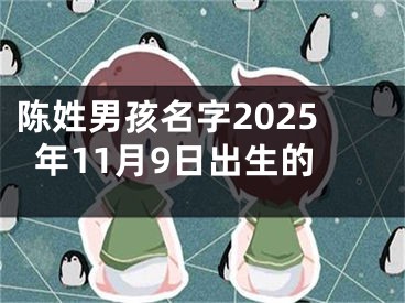 陈姓男孩名字2025年11月9日出生的
