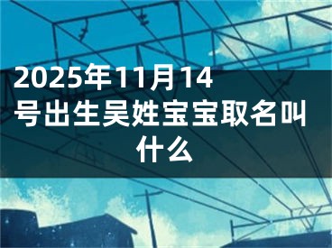 2025年11月14号出生吴姓宝宝取名叫什么