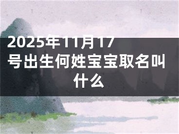 2025年11月17号出生何姓宝宝取名叫什么