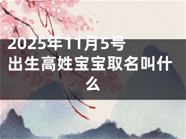 2025年11月5号出生高姓宝宝取名叫什么