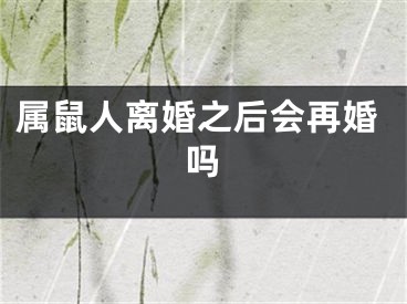 属鼠人离婚之后会再婚吗