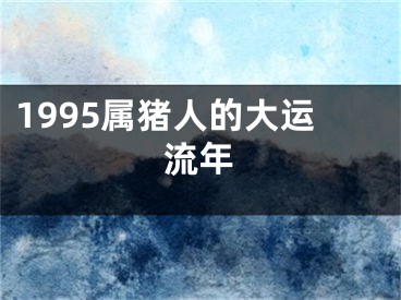 1995属猪人的大运流年