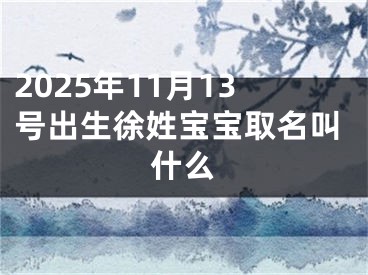 2025年11月13号出生徐姓宝宝取名叫什么