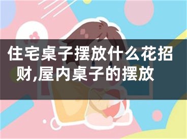 住宅桌子摆放什么花招财,屋内桌子的摆放
