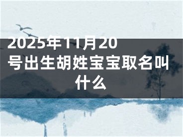 2025年11月20号出生胡姓宝宝取名叫什么