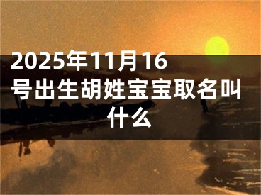 2025年11月16号出生胡姓宝宝取名叫什么