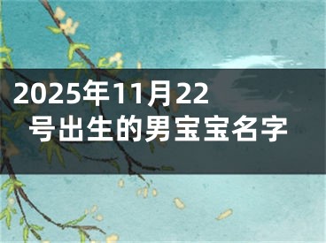 2025年11月22号出生的男宝宝名字
