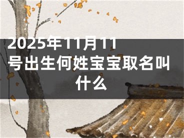 2025年11月11号出生何姓宝宝取名叫什么