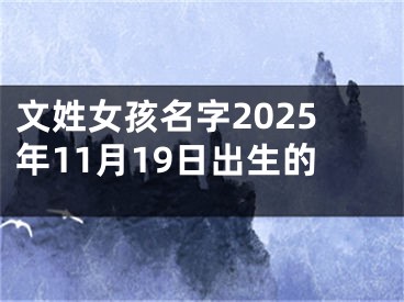 文姓女孩名字2025年11月19日出生的