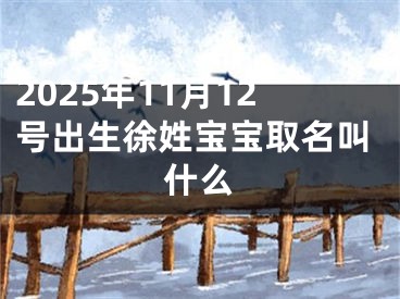 2025年11月12号出生徐姓宝宝取名叫什么