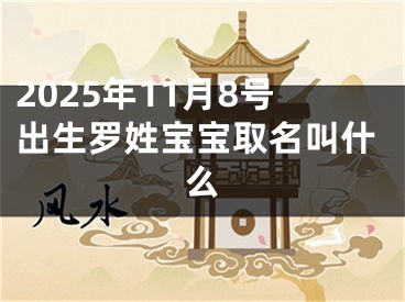 2025年11月8号出生罗姓宝宝取名叫什么