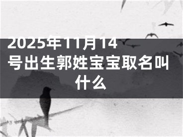 2025年11月14号出生郭姓宝宝取名叫什么