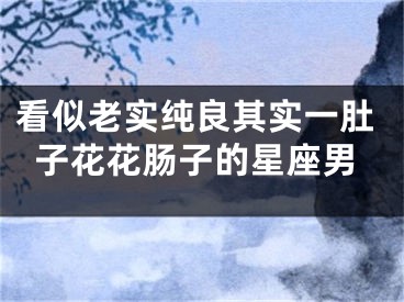 看似老实纯良其实一肚子花花肠子的星座男