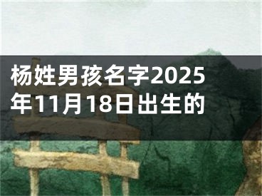 杨姓男孩名字2025年11月18日出生的