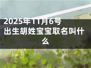 2025年11月6号出生胡姓宝宝取名叫什么