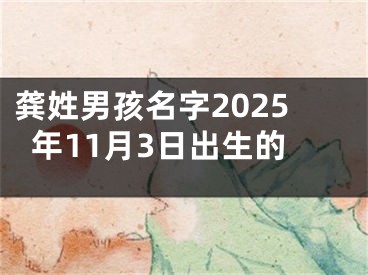 龚姓男孩名字2025年11月3日出生的