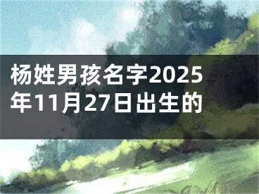 杨姓男孩名字2025年11月27日出生的